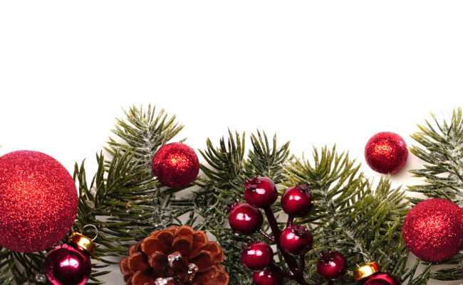 Winter 2019 Newsletter