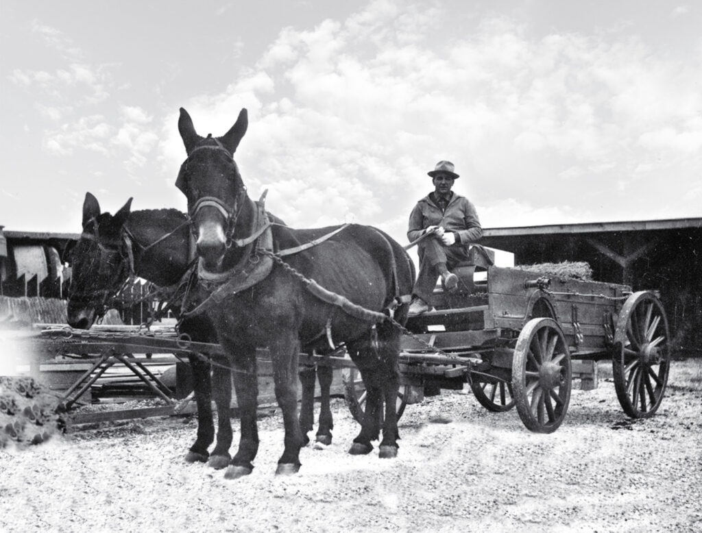 1920s Construction Wagon